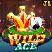 Wild Ace on PG Stats